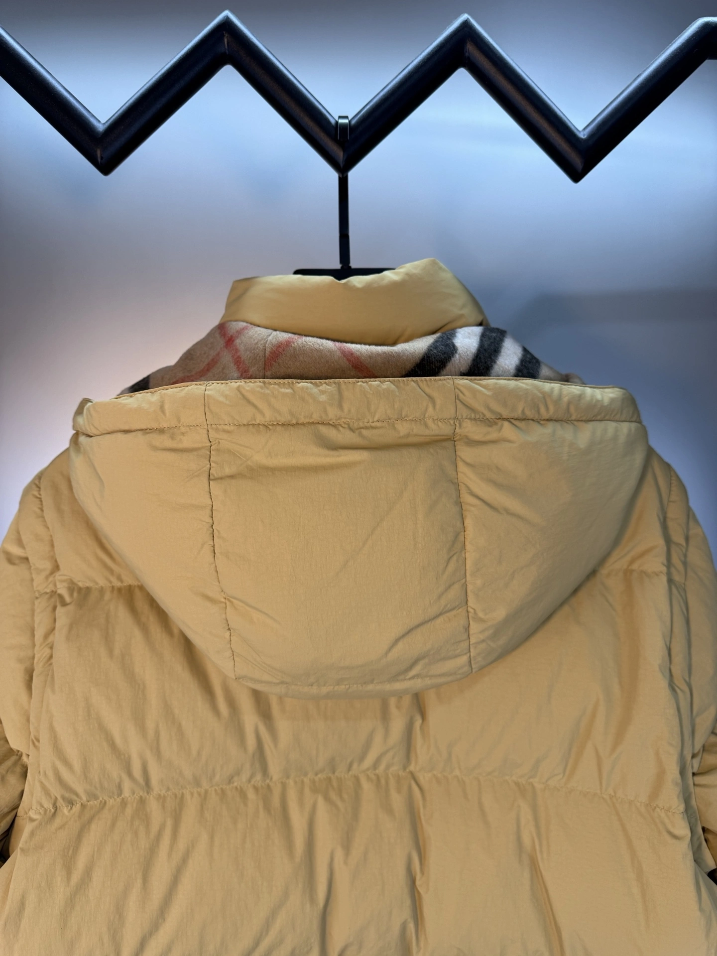 wg.luxury- 2ur25rry Down jacket 90 white duck down 2colour item:E-F110J2429-2